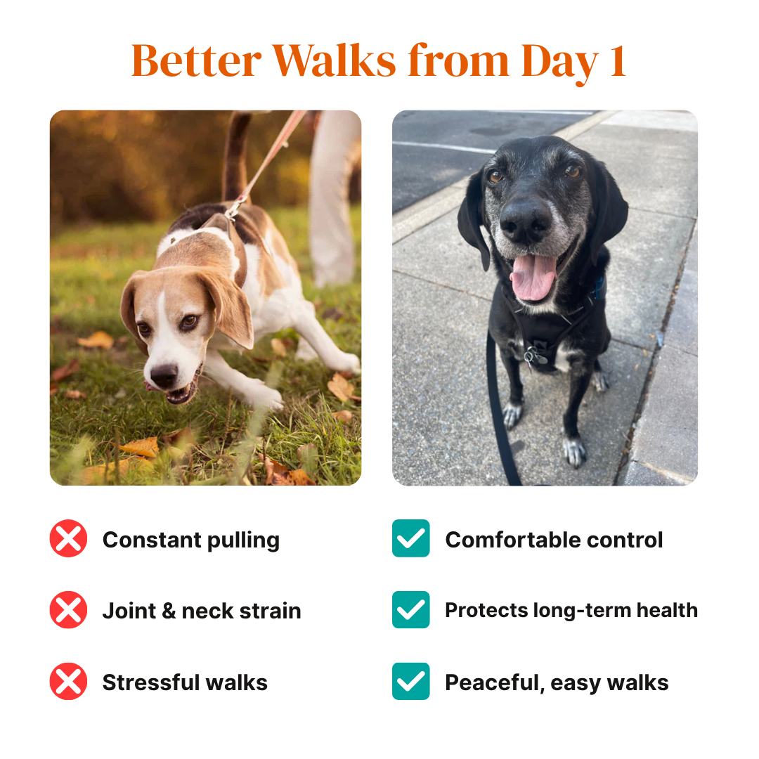 BetterWalk Harness