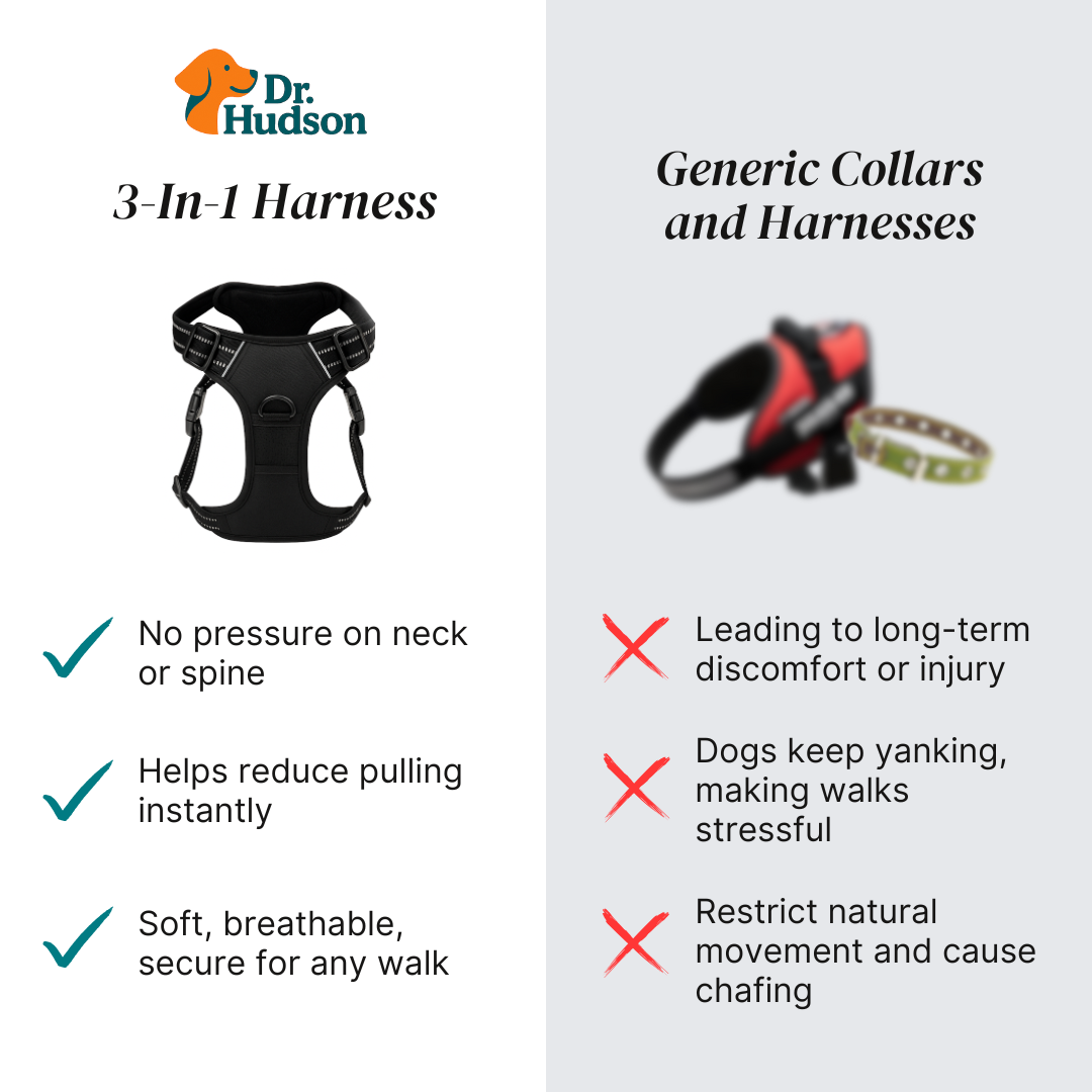 BetterWalk Harness