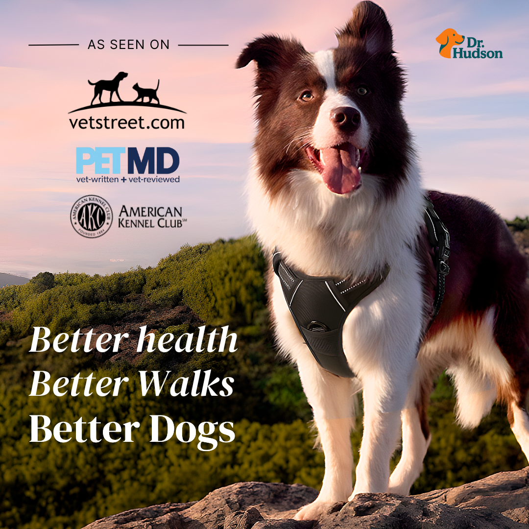 BetterWalk Harness