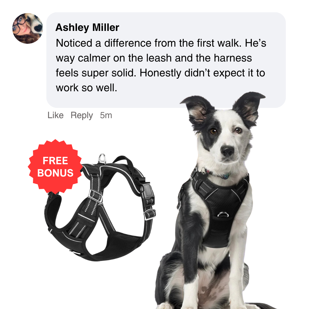 BetterWalk Harness