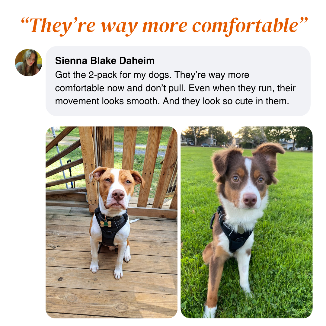 BetterWalk Harness