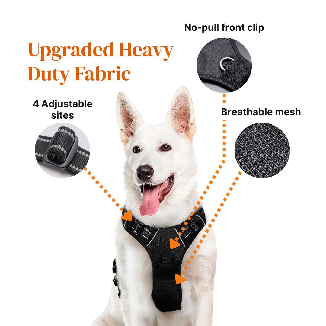 BetterWalk Harness