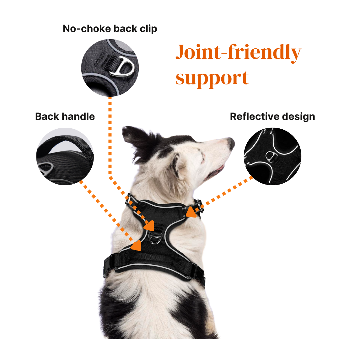 BetterWalk Harness