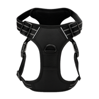 BetterWalk Harness