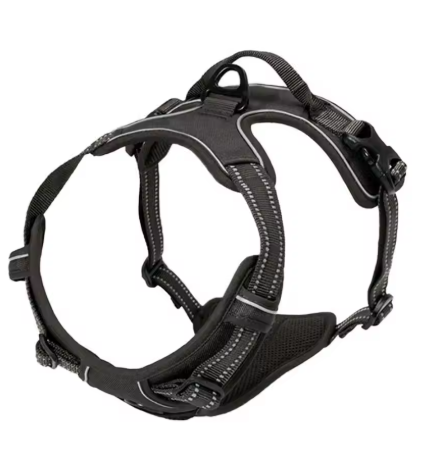 BetterWalk Harness