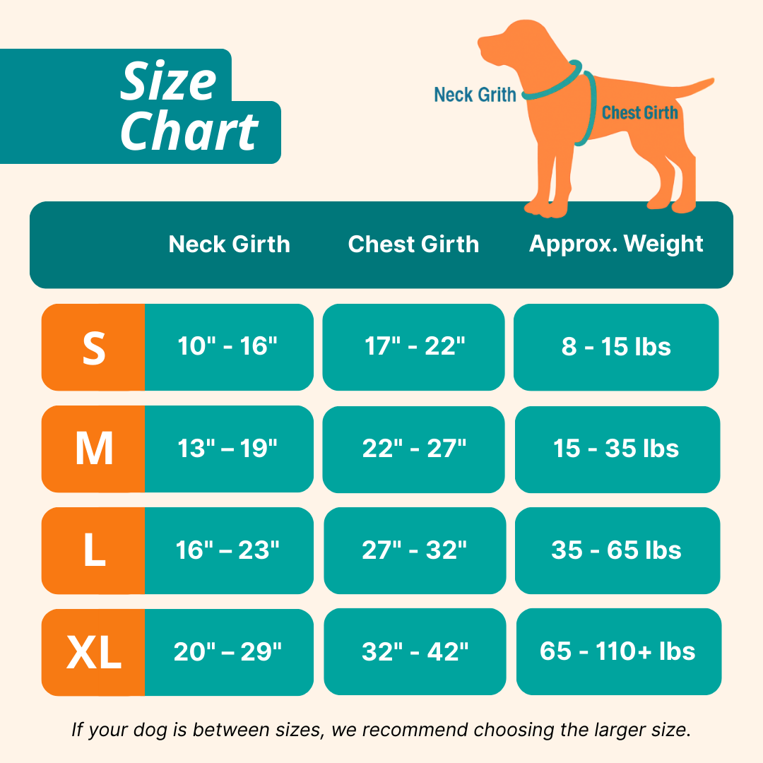 Dog size chart with neck girth, chest girth, and approximate weight ranges.