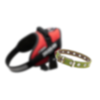 Generic Collar and Harnesses