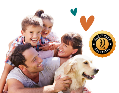 The 90-Day Promise That Changes Everything