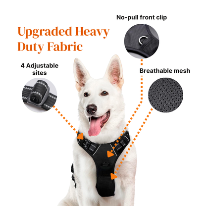 BetterWalk Harness