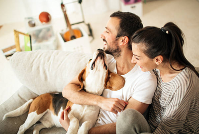 Your Dog is Counting on You